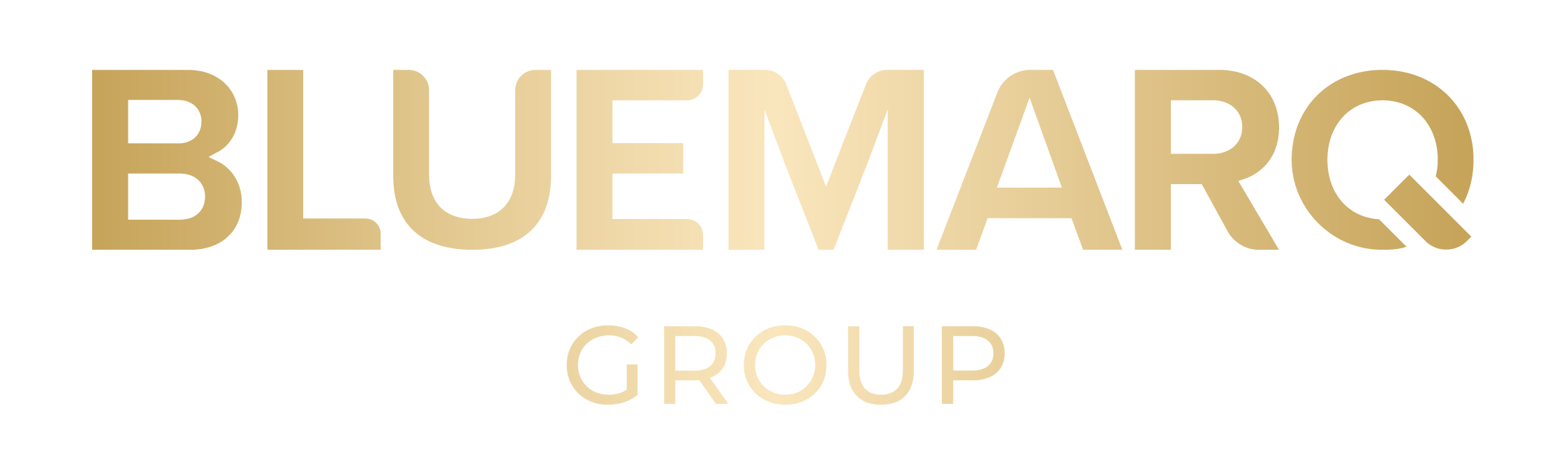 Chuyên trang cổ đông Bluemarq Group